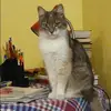 Отзыв от Варвара Толкачева